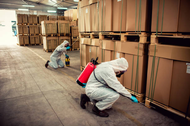 Best Bed Bug Extermination  in San Luis Obispo, CA