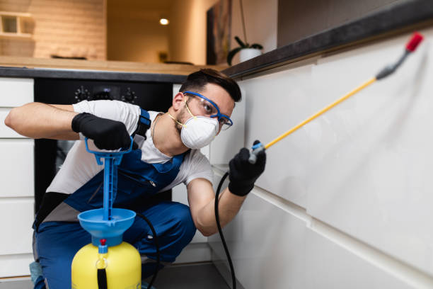 Flea Control Services in San Luis Obispo, CA