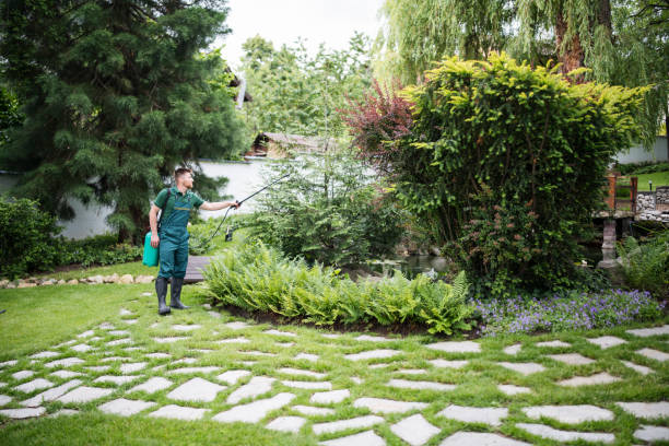 Best Pest Control Near Me  in San Luis Obispo, CA
