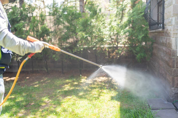 Best Pest Control Near Me in San Luis Obispo, CA